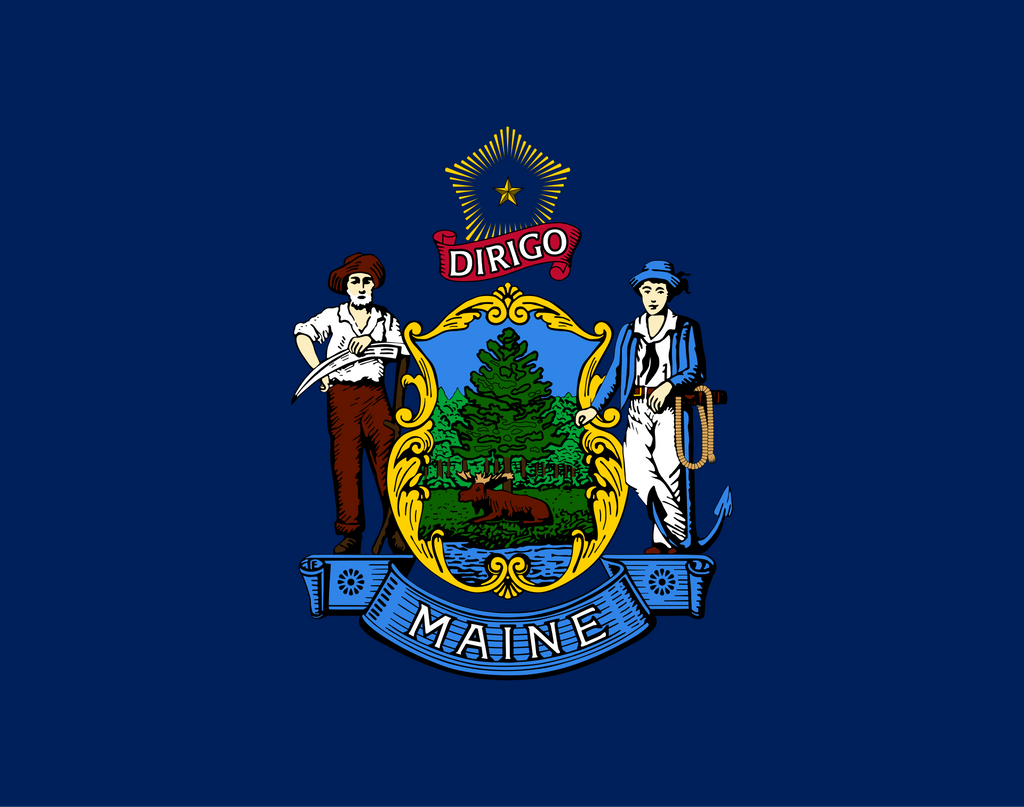 FAKE MOON ROCK - COMMEMORATIVE ARTIFACT #00015 - MAINE