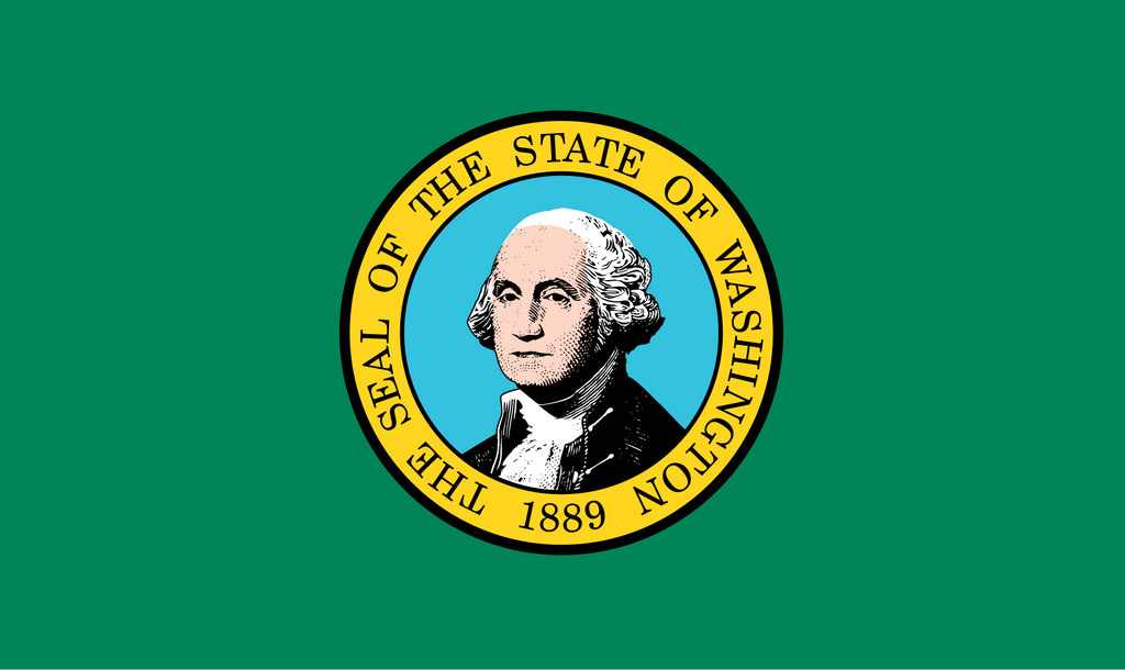FAKE MOON ROCK - COMMEMORATIVE ARTIFACT #FM00024 - WASHINGTON
