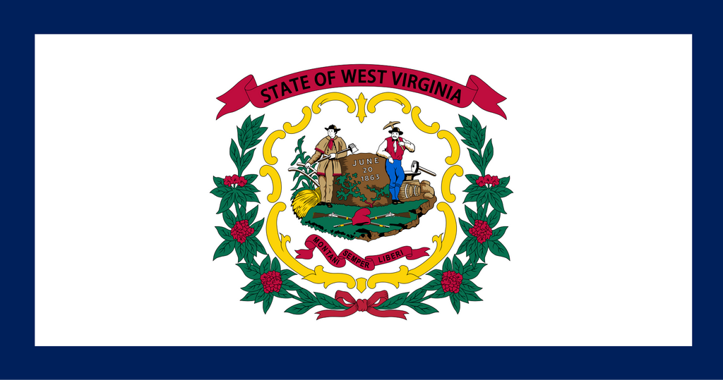 FAKE MOON ROCK - COMMEMORATIVE ARTIFACT #FM00043 - WEST VIRGINIA