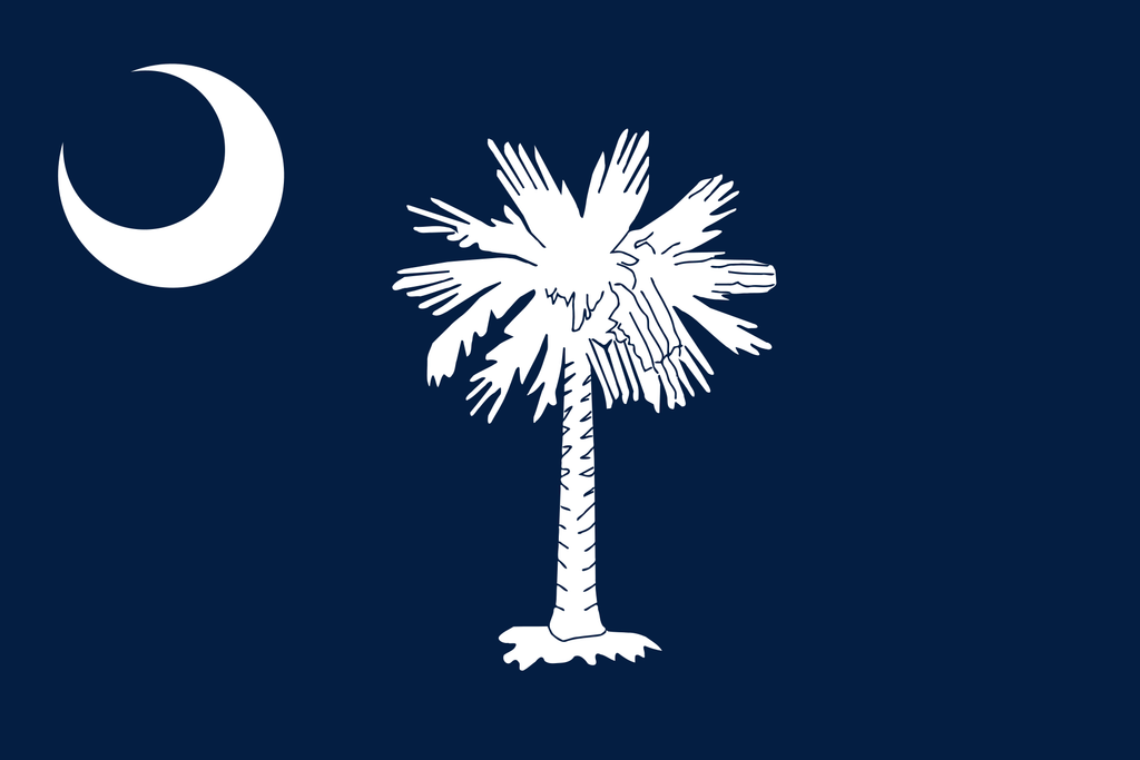 FAKE MOON ROCK - COMMEMORATIVE ARTIFACT #FM00045 - SOUTH CAROLINA