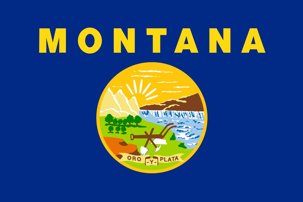 FAKE MOON ROCK - COMMEMORATIVE ARTIFACT #FM00046 - MONTANA