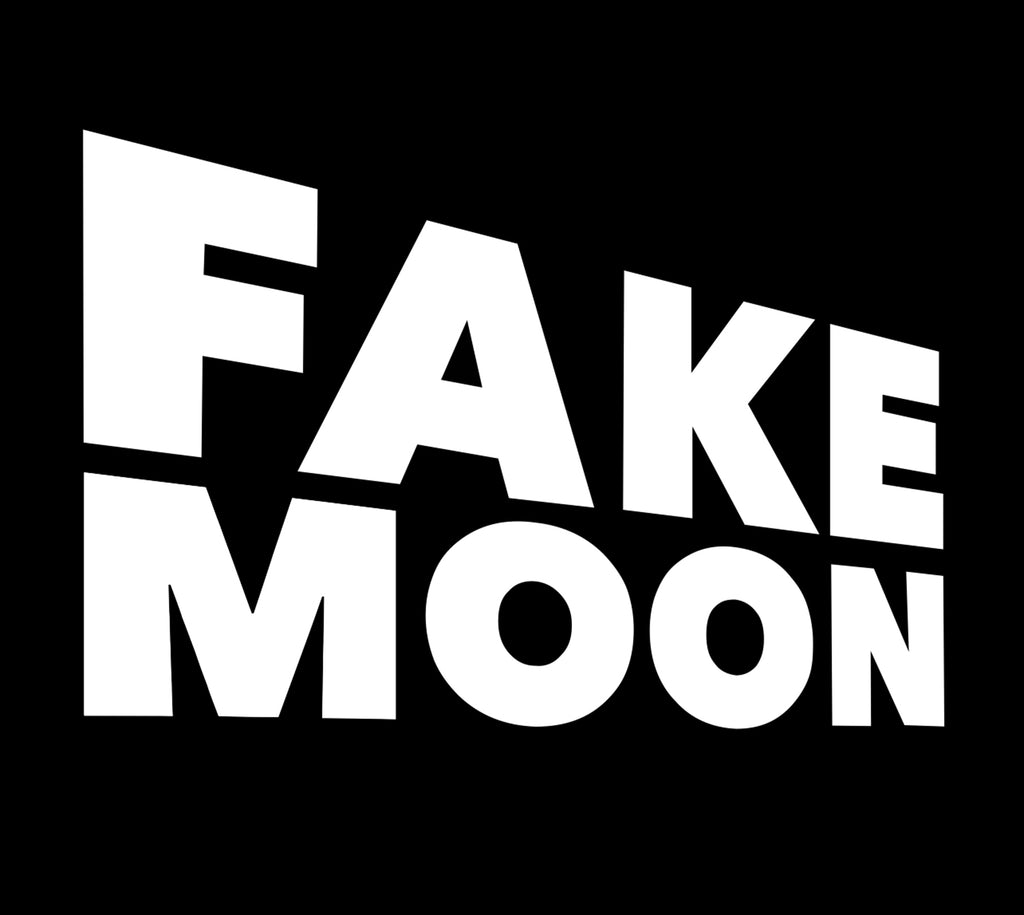 FAKE MOON ROCK - COMMEMORATIVE ARTIFACT #FM00010 - TEXAS